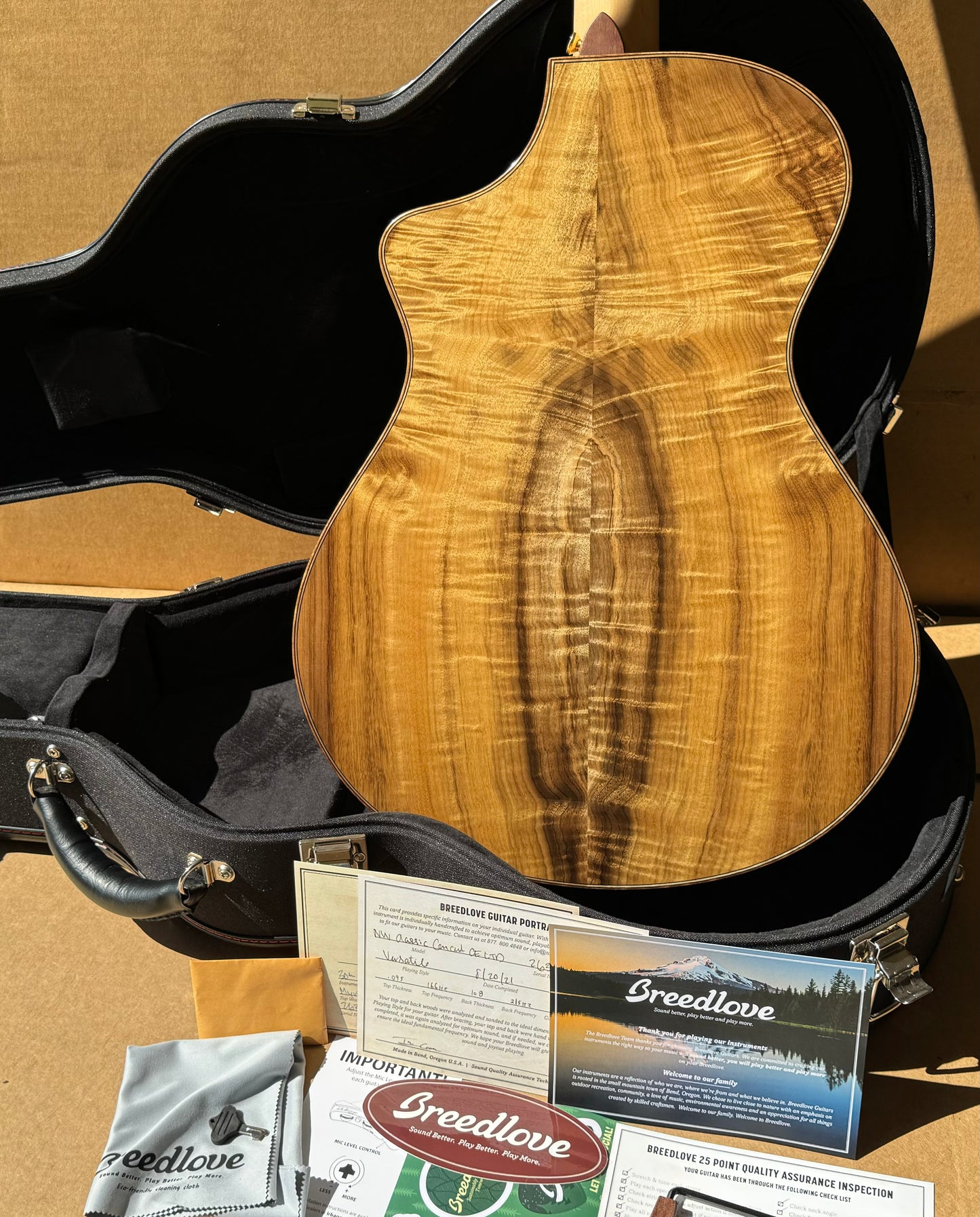 Breedlove Northwest Classic 30th anniversary boutique acoustic guitar