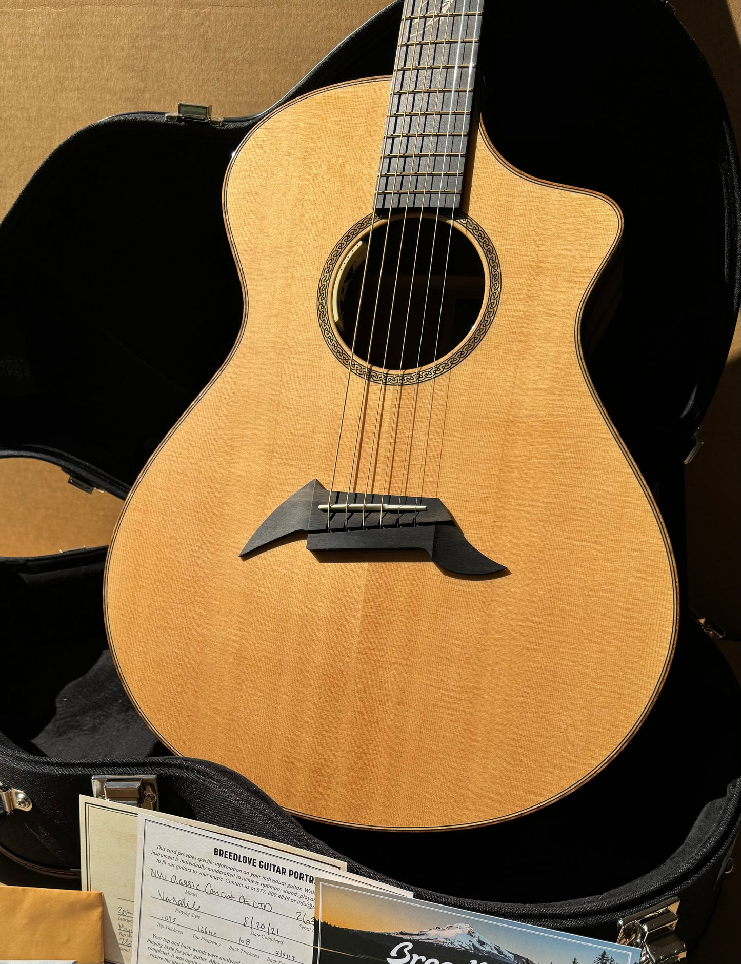 Breedlove Northwest Classic 30th anniversary boutique acoustic guitar