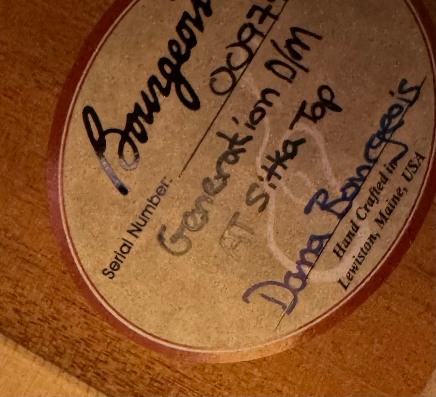 2022 Bourgeois Generation DM Dreadnought Flat top acoustic D-18