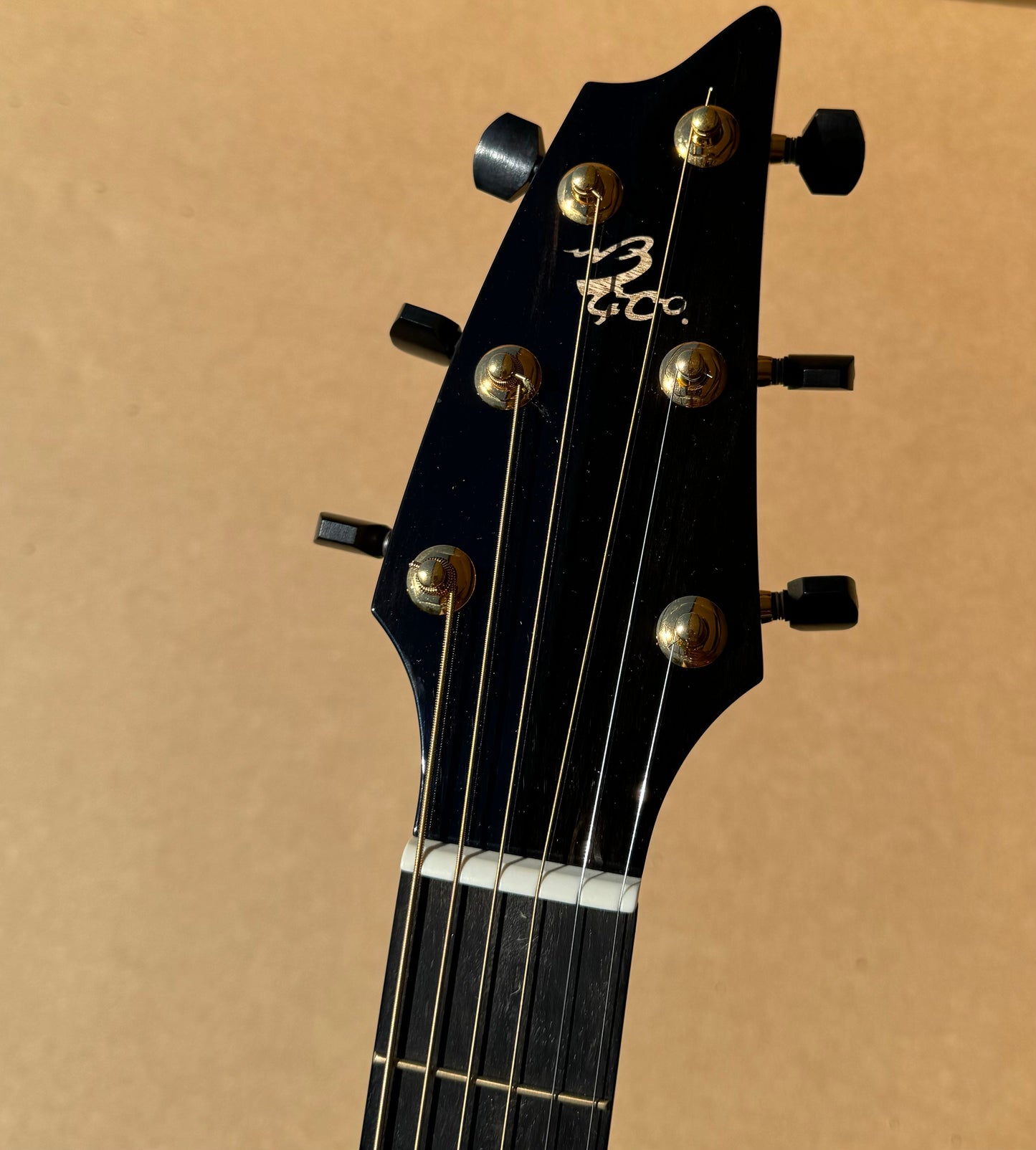 Breedlove Northwest Classic 30th anniversary boutique acoustic guitar