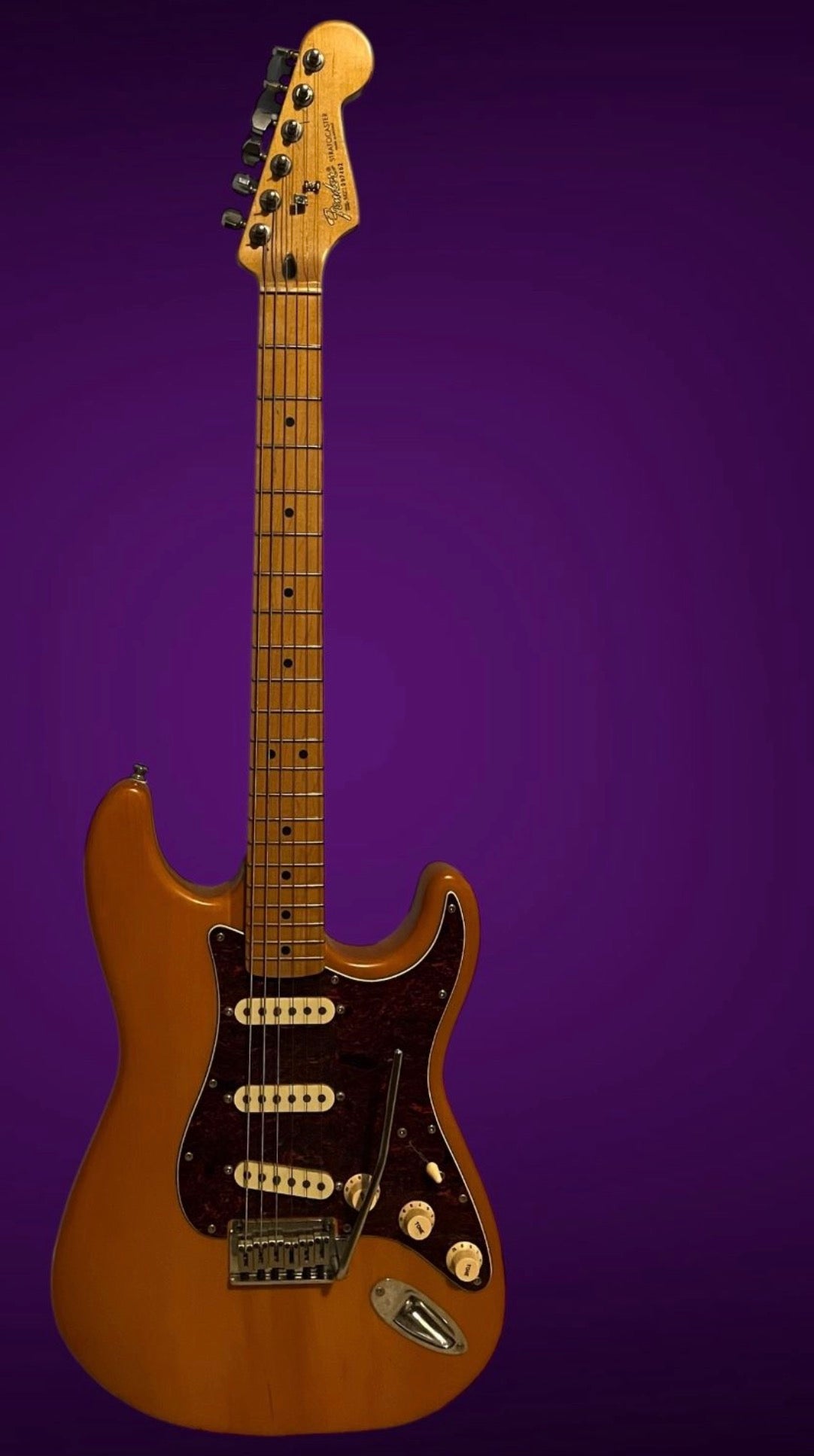 2002 Fender Stratocaster MIM W/HSC