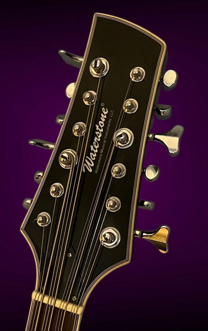 Waterstone 12 string Bass