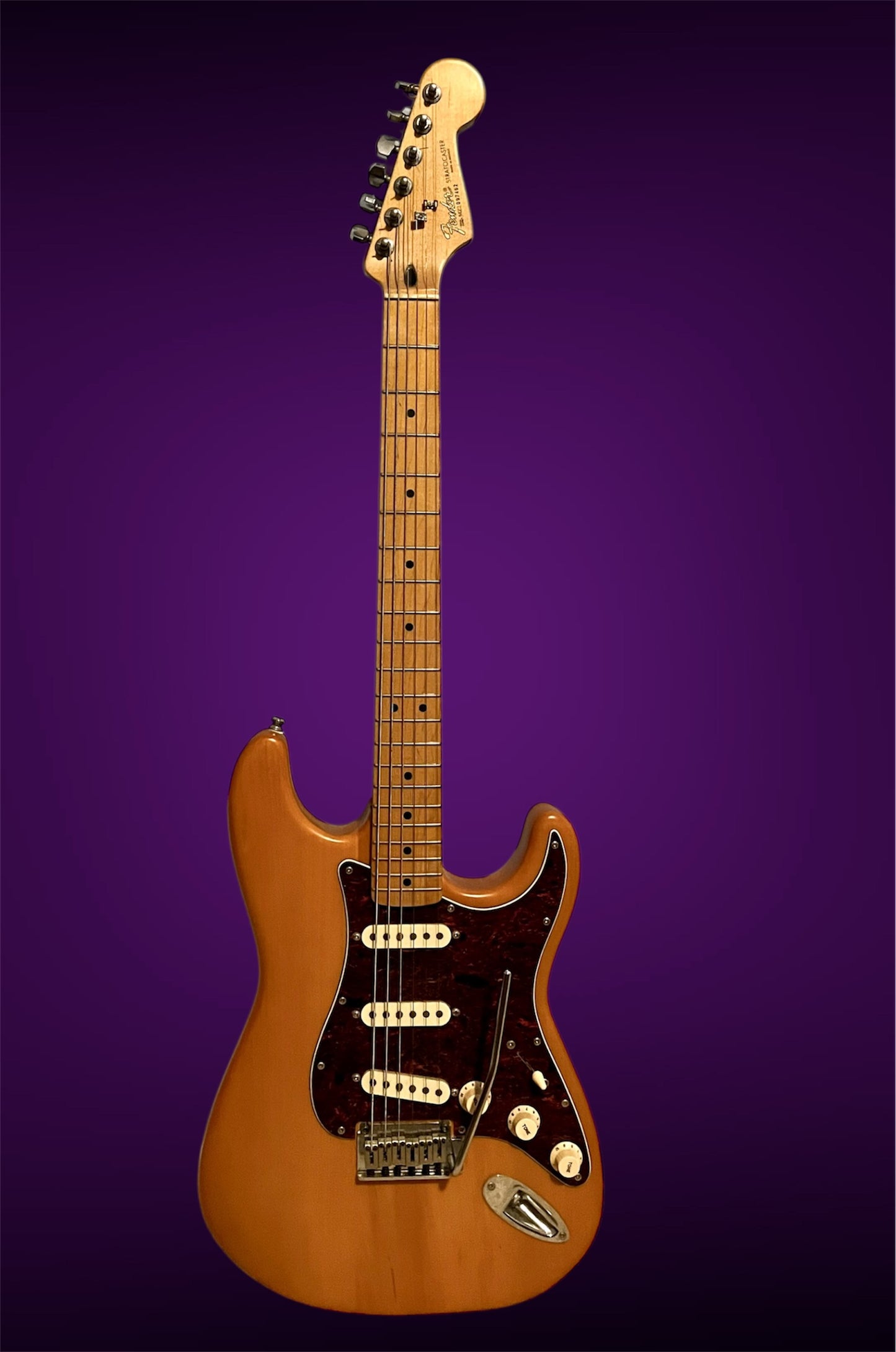 2002 Fender Stratocaster MIM W/HSC