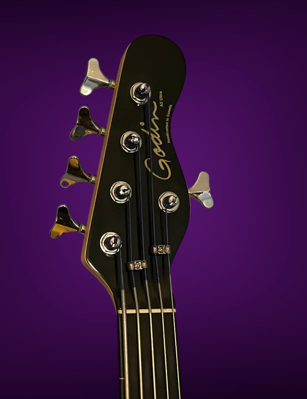 2010 Godin A5 Ultra Fretless Acoustic Electric Bass