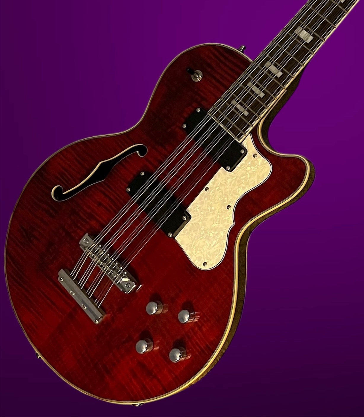 Waterstone 12 string Bass