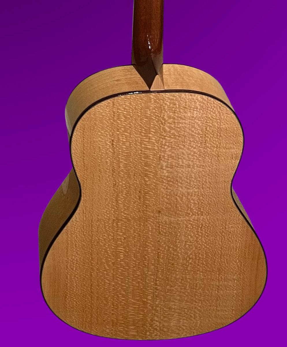 Larrivee L-06 acoustic electric