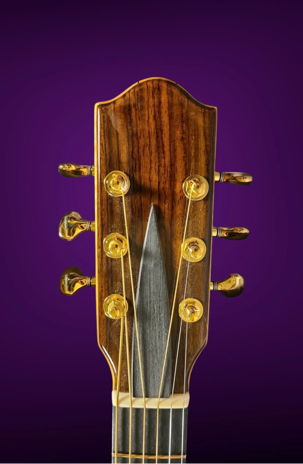 2017 NK Forster C Session King Advanced Guitar