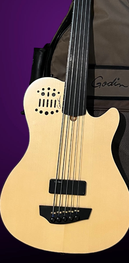 2010 Godin A5 Ultra Fretless Acoustic Electric Bass