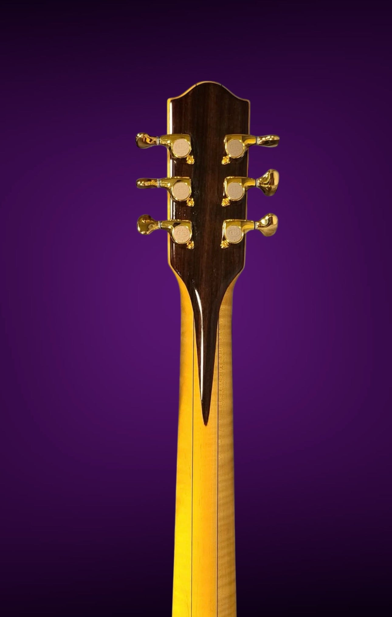 2017 NK Forster C Session King Advanced Guitar