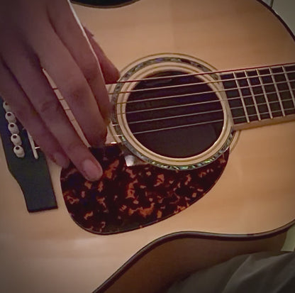 Larrivee L-06 acoustic electric