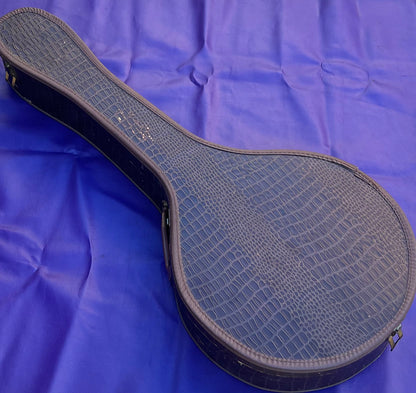 Vintage 1960s Gibson Tenor Banjo Case