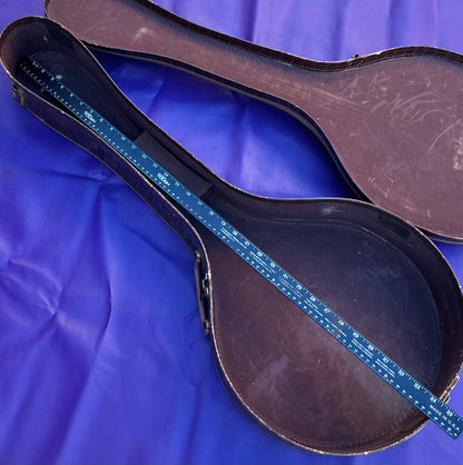 Vintage 1960s Gibson Tenor Banjo Case