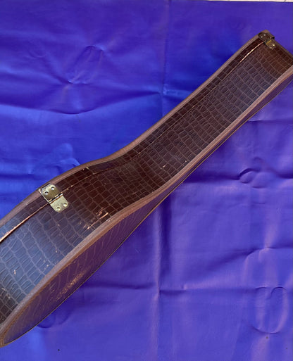 Vintage 1960s Gibson Tenor Banjo Case