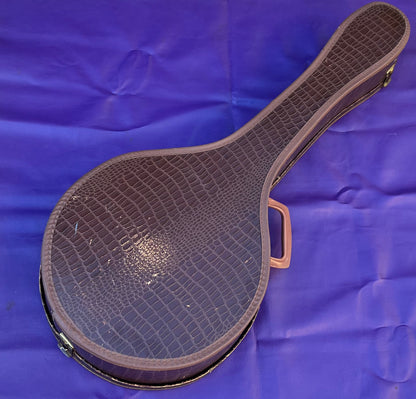 Vintage 1960s Gibson Tenor Banjo Case