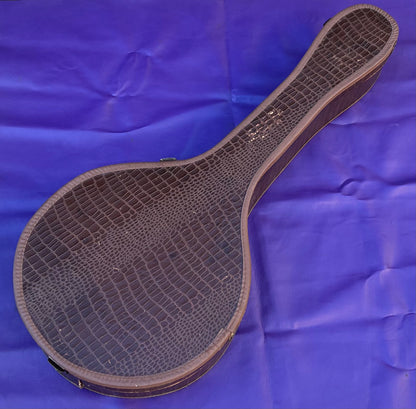 Vintage 1960s Gibson Tenor Banjo Case